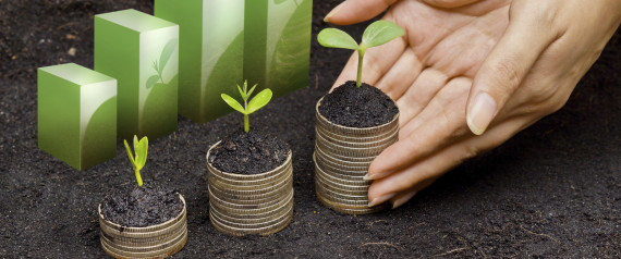 business growth