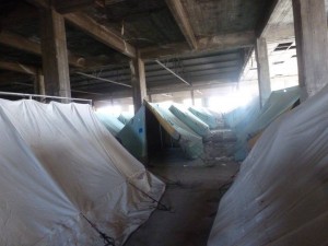 SOFTEX10