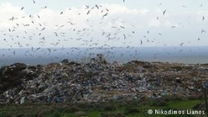 Ελλάδα και Κύπρος περιλαμβάνονται στις λίγες, πλέον, ευρωπαϊκές χώρες που οδηγούν πάνω από το 75% των αποβλήτων στην ταφή