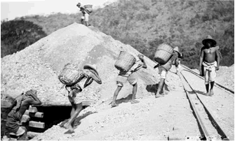 Πέονες στην περιοχή της Ρασκόν, Μεξικό (φωτογραφία χωρίς ημερομηνία)
