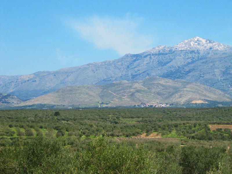 Καστέλλι. Η κατάφυτη πεδιάδα με τους ελαιώνες. Εδώ, ανάμεσα στα βουνά και σε 26 οικισμούς, σχεδιάζουν την εγκατάσταση αεροδρομίου.