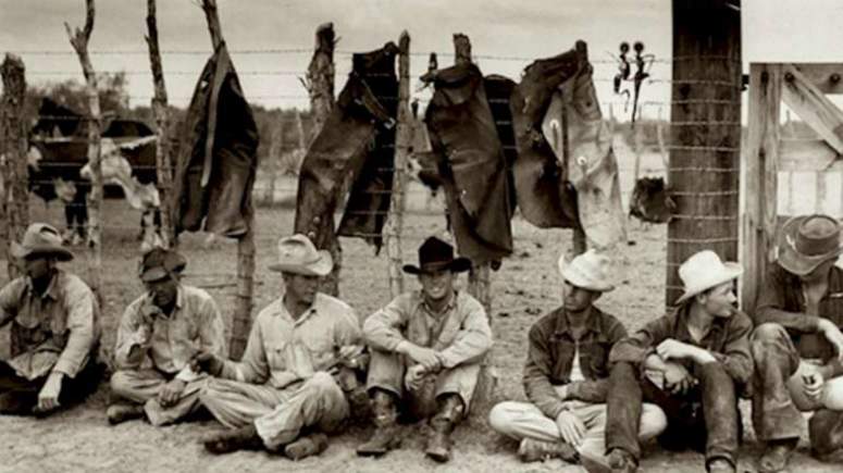 239801g-levis-history