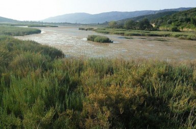 Ψήφτα Τροιζηνίας, μία από τις τρεις λιμνοθάλασσες της Αττικής.
