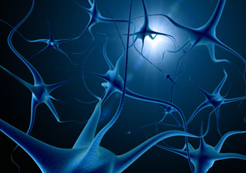cellular_memory