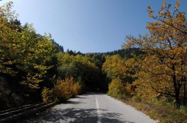 natura-thumb-large