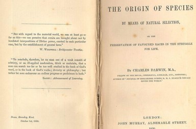 48925-originofspecies
